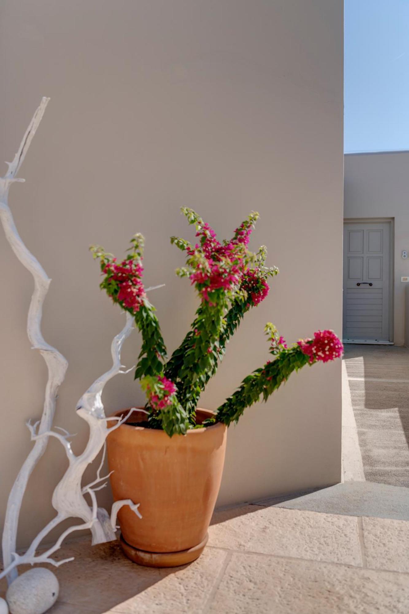 Kouros Art Hotel (Adults Only) Stelida  Exterior foto